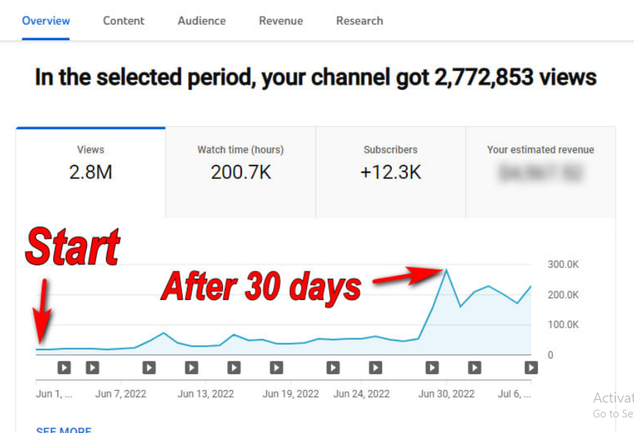 Subscriber Growth Plan